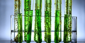 Applicazione di Bioreattore Fermentatore in Biocarburanti ed energie rinnovabili